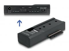 DELOCK docking station για M.2 NVMe/SATA ή 2.5"/3.5" SSD/HDD 64252, 10Gbps, clone function, μαύρο