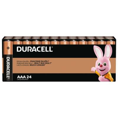 Duracell Basic LR03 AAA alkaline battery (carton) (DUR19345)