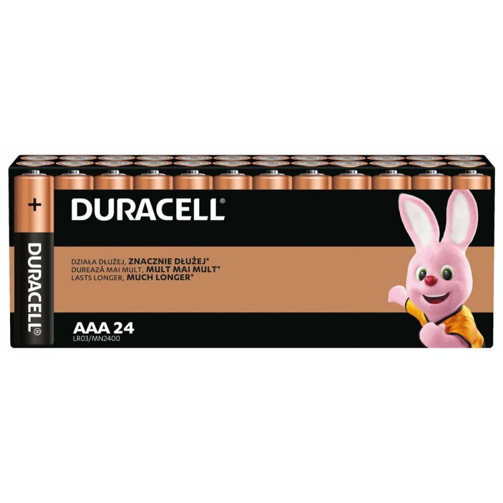 Duracell Basic LR03 AAA alkaline battery (carton) (DUR19345)