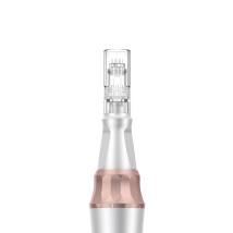 Συσκευή Μεσοθεραπείας Microneedling για Αντιγήρανση