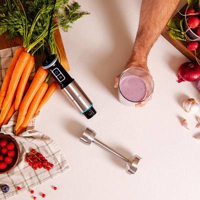 Ραβδομπλέντερ 1100 W