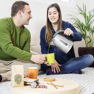 Βραστήρας 1.2 Lt 1630 W Ασημί