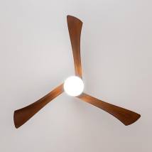 Ανεμιστήρας Οροφής 2 Σε 1 με Τηλεχειριστήριο 40W