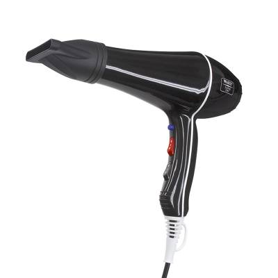 Επαγγελματικό Πιστολάκι Μαλλιών 2000W με 2 Στόμια