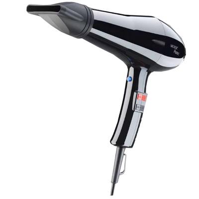 Επαγγελματικό Πιστολάκι Μαλλιών Με Στενό Στόμιο 1500 W