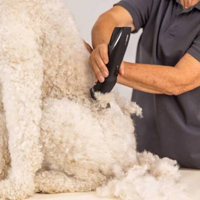 Επαναφορτιζόμενη/Ρεύματος Κουρευτική Μηχανή για Κατοικίδια