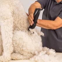 Επαναφορτιζόμενη/Ρεύματος Κουρευτική Μηχανή για Κατοικίδια