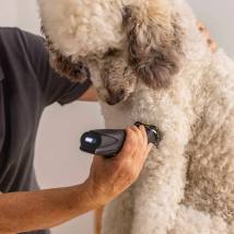 Επαναφορτιζόμενη/Ρεύματος Κουρευτική Μηχανή για Κατοικίδια