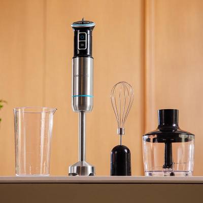 Ραβδομπλέντερ 1100 W