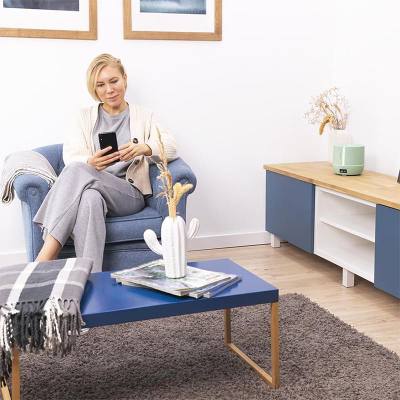 Ηλεκτρικός Υγραντήρας/Διαχυτής Αρώματος 0.5Lt