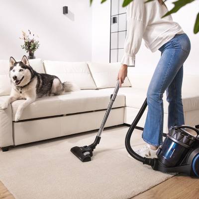 Ηλεκτρική Σκούπα 800 W Με Κάδο 4 Lt