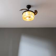 Ανεμιστήρας Οροφής 2 Σε 1 με Τηλεχειριστήριο 25W