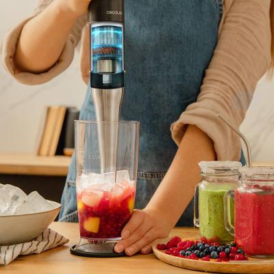 Ραβδομπλέντερ με Ανοξείδωτη Ράβδο 1500 W