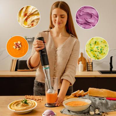 Ραβδομπλέντερ με Ανοξείδωτη Ράβδο 1500 W