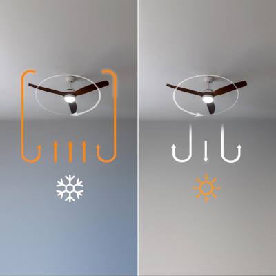 Ανεμιστήρας Οροφής 2 Σε 1 με Τηλεχειριστήριο 40W