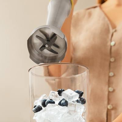 Ραβδομπλέντερ με Ανοξείδωτη Ράβδο 1500 W