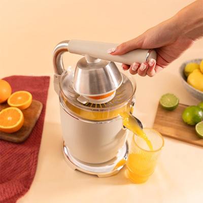 Ηλεκτρικός Στίφτης 1000W με Χωρητικότητα 500ml