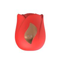 ΣΥΣΚΕΥΗ SELF PLEASURE ΜΕ ΜΟΝΤΕΡΝΟ ΣΧΕΔΙΟ