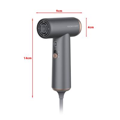 Πιστολάκι Μαλλιών με Brushless μοτέρ 800 W