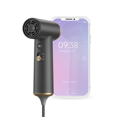 Πιστολάκι Μαλλιών με Brushless μοτέρ 800 W