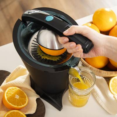 Ηλεκτρικός Στίφτης 600 W Μαύρος