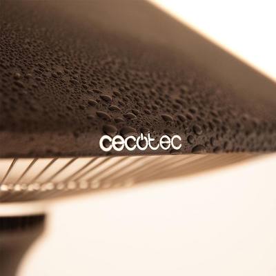 Σόμπα Αλογόνου Οροφής 2000W| IP34