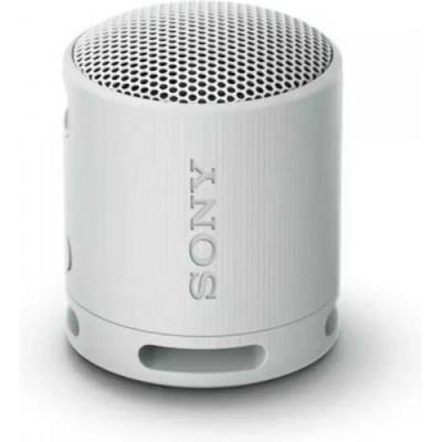 Sony SRS-XB100 Speaker Wirless Bluetooth Grey (SRSXB100H) (SNYSRSXB100H)