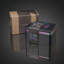 Επαγγελματικό Πιστολάκι Μαλλιών με 2 Στενά Μαγνητικά Στόμια & Φυσούνα 2000 W