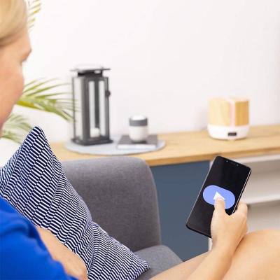 Διαχυτής Αρώματος 0.5Lt