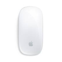 Apple Magic Mouse (2024) Usb-C Silver (MXK53ZM/A) (APPMXK53ZM-A)
