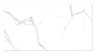 WINGRESS πλακάκι WNC-BELEN-WHITE, 120x60cm, glossy finish, belen white, 2τμχ 1.44m²