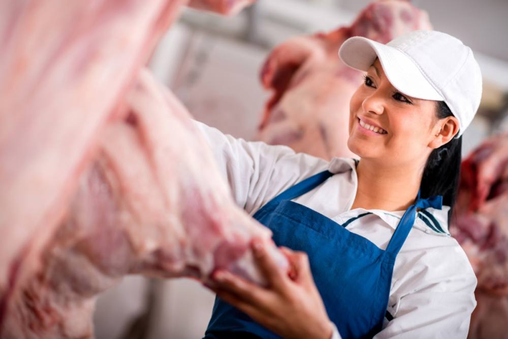 Pegasus Κρεοπωλείο & Δώρο Σύμβαση υποστήριξης  για ένα χρόνο