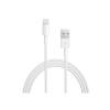Apple Charge Cable USB to Lightning Λευκό 1m (MXLY2ZM/A)