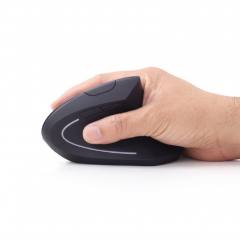 GEMBIRD WIRELESS ERGONOMIC 6-BUTTON OPTICAL MOUSE BLACK