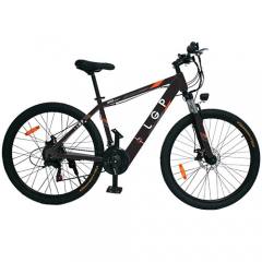 LGP MOUNTAIN E-BIKE 36V 250W 'REBEL'