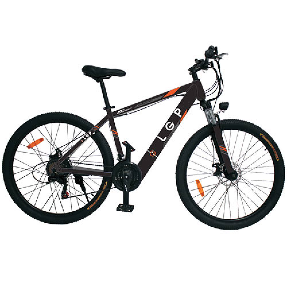 LGP MOUNTAIN E-BIKE 36V 250W 'REBEL'