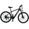 LGP MOUNTAIN E-BIKE 36V 250W 'REBEL'