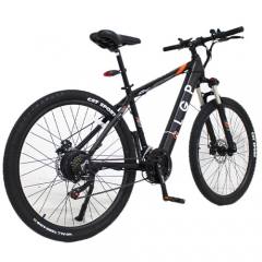 LGP MOUNTAIN E-BIKE 36V 250W 'REBEL'