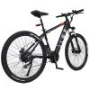 LGP MOUNTAIN E-BIKE 36V 250W 'REBEL'