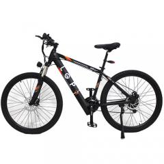LGP MOUNTAIN E-BIKE 36V 250W 'REBEL'