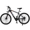 LGP MOUNTAIN E-BIKE 36V 250W 'REBEL'