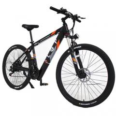 LGP MOUNTAIN E-BIKE 36V 250W 'REBEL'
