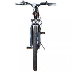 LGP MOUNTAIN E-BIKE 36V 250W 'REBEL'