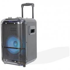 DENVER PORTABLE BLUTOOTH SPEAKER TSP-306NR