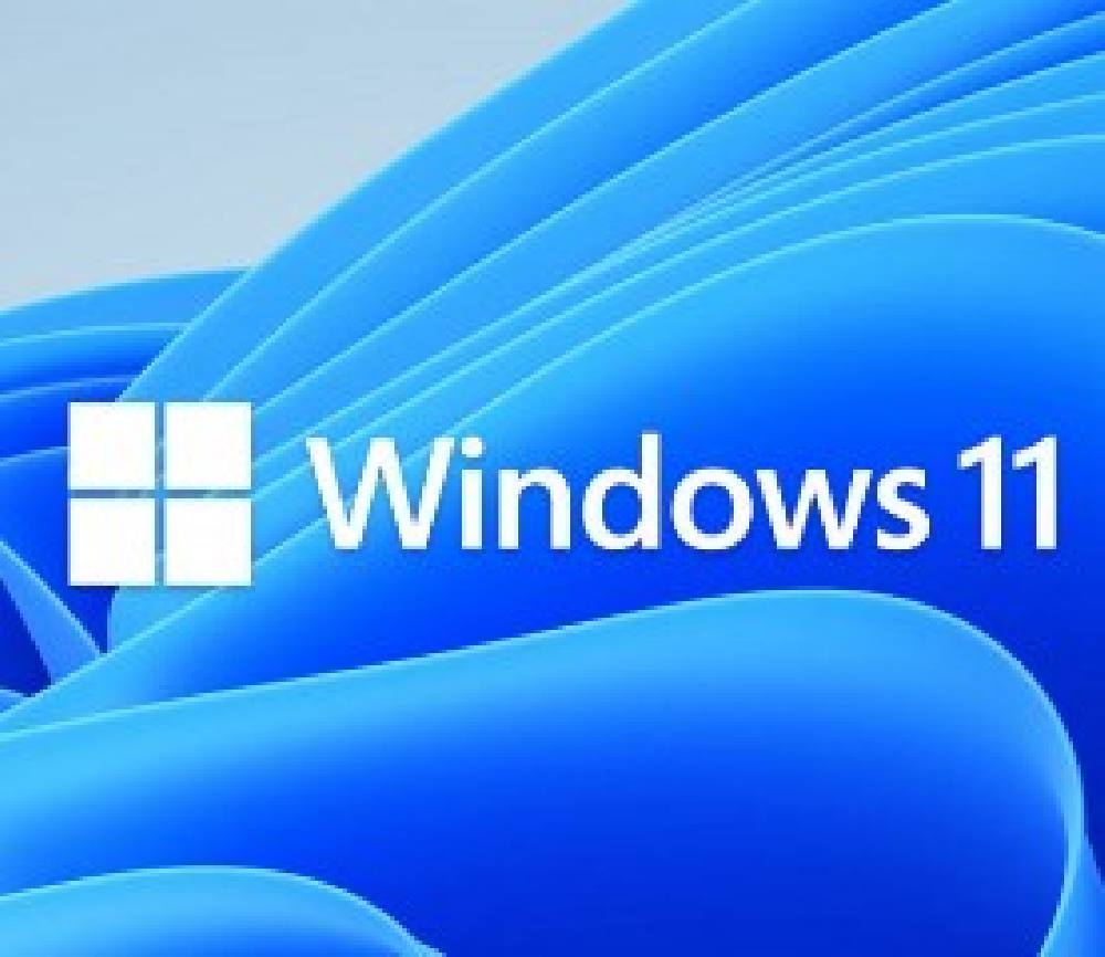 MS WINDOWS DSP 11 PRO 64-BIT ENG