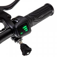 MANTA ELECTRIC SCOOTER FLINSTON 10' 250W LG BATTERY