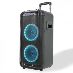 DENVER TSP-450 BLUETOOTH SPEAKER