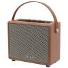 AIWA DIVINER PLAY BT SPEAKER WITH RC RMS 40W BROWN