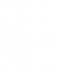 NETUM BLUETOOTH PORTABLE 2D SCANNER FOR SMARTPHONE/TABLET