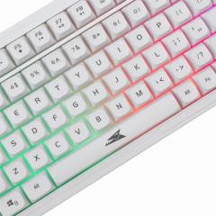 BARACUDA GAMING COMBO KEYBOARD AND MOUSE BGC-012 ORCA WHITE